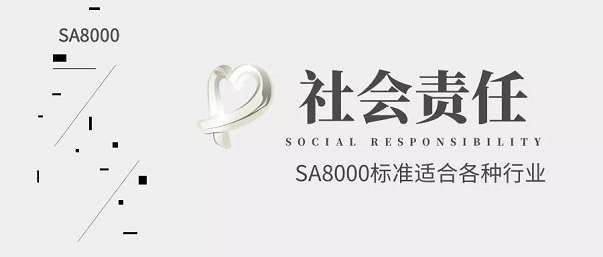 【圖3】SA8000標準:適合于各種行業(yè).png