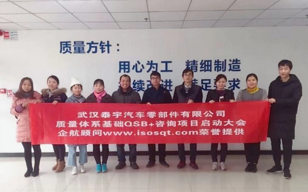 【3876】(江蘇環(huán)宇)武漢泰宇汽車(chē)零部件有限公司PSA QSB+咨詢(xún)項(xiàng)目(李燕).jpg