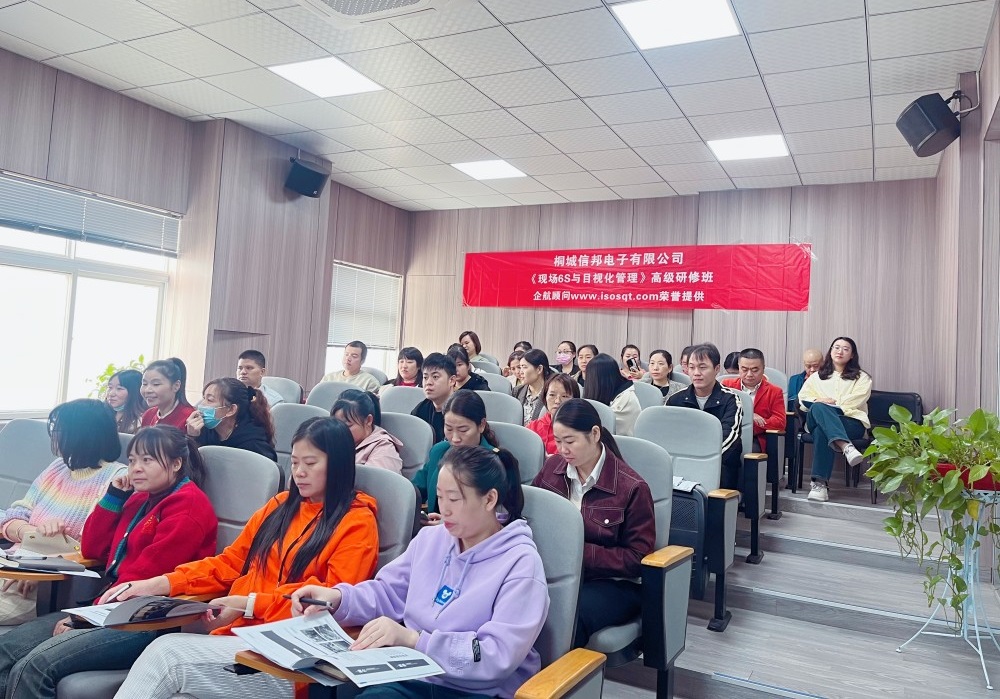【5073】桐城信邦電子有限公司《現場6S與目視化管理》內訓項目(張鵬)-4.jpg